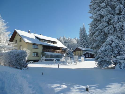 Catalli Herrischried Exterior photo